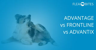 Advantage vs- Advantix vs Frontline Spot-On Treatment