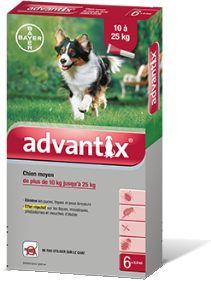 Bayer Advantix for Large Dogs