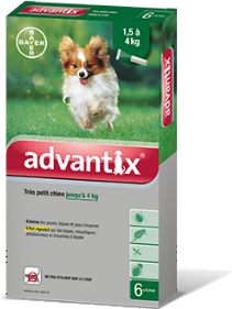 Advantix- for Small Dogs