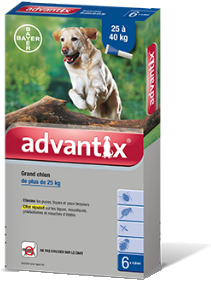 Bayer Advantix for Very Large Dogs